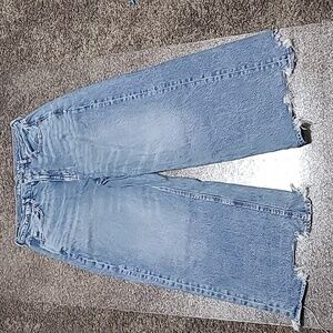 American Eagle Outfitters Light Blue Flare Jeans